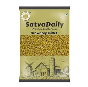 Satva Daily Brown Top Millet Chotti Kangni/Andu Korralu/Korale/Korlu ...