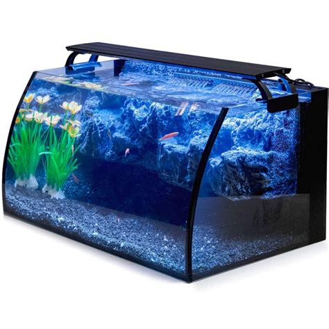 Best Bow Front Aquarium of 2026