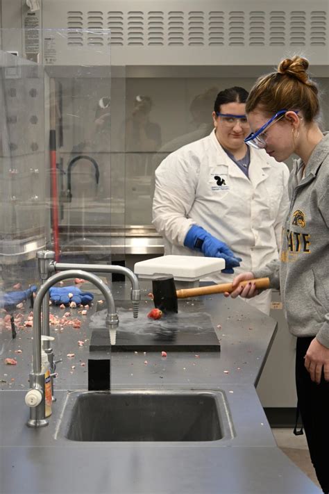 IN A FLASH: Kent Roosevelt Visits Campus | Kent State Today