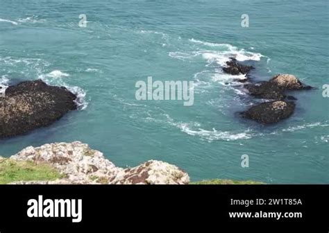 Tidal Current 的图像结果