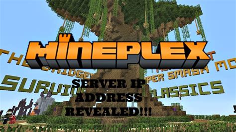 Mineplex Server IP Java 的图像结果