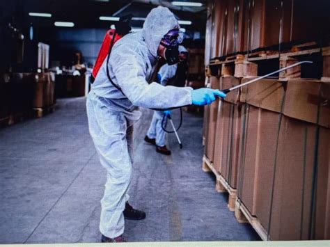 Fumigation | Spray | Termite & Rodent Control Services in Rajasthan