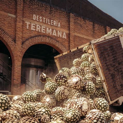 Teremana Tequila Reposado 700ml | Kent Street Cellars