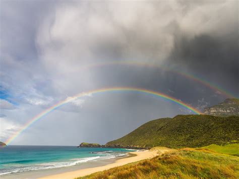 WILDSIDE WALKS LORD HOWE ISLAND Guide (2026) All You Need to Know ...