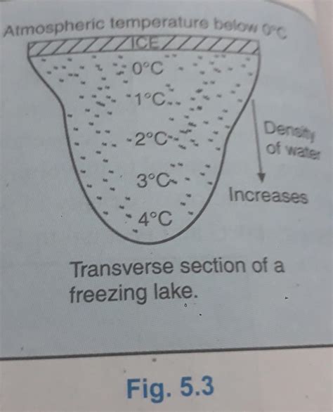 draw a diagram showing the temperature of various layers of water in ...