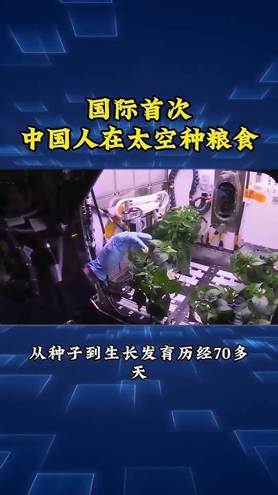 中国人在太空存粮丰富最新素材