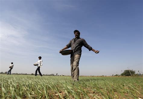 Study Finds Farmers in India Worse off Due to Government Policies - The ...