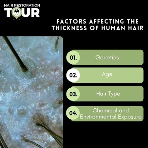 How Many Microns Is a Human Hair? | What Is A Micron?