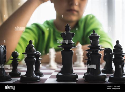 Image result for Chessmaster Kid