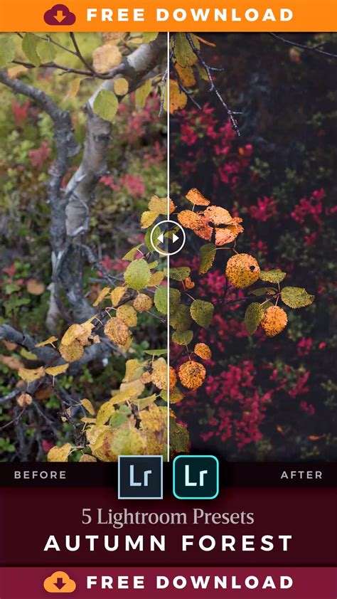 Essential collection 20 lightroom presets for landscape photography ...