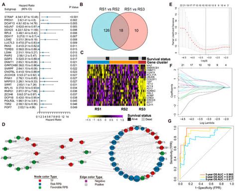 Identification of an RNA-Binding-Protein-Based Prognostic Model for ...