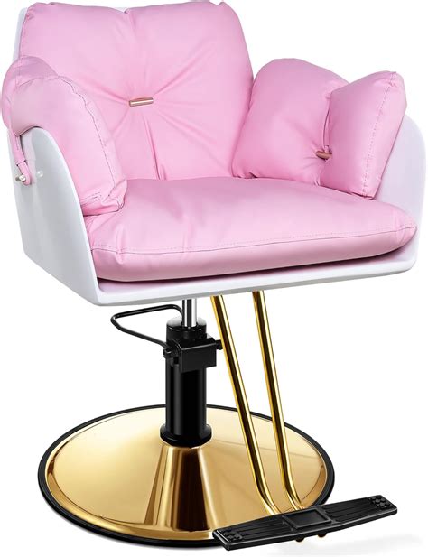 Amazon.com: Baasha Gold Salon Chair, Hair Salon Chair with Upgraded ...