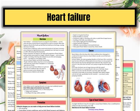 Image result for Cardiovascular System and Function Notes
