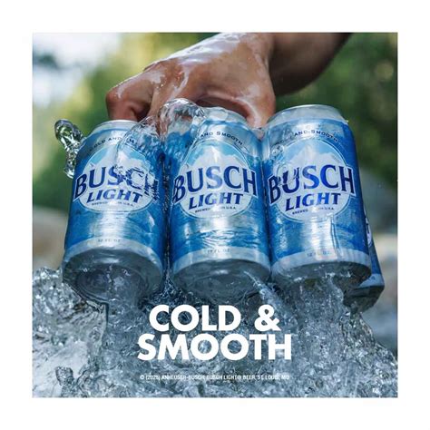 Buy Busch Light American Lager Beer Can, 18 pack, 12 fl oz Cans from ...