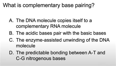 Image result for Complementary Base Pairs
