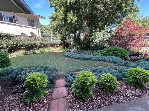 ON SHOW this Sunday 2pm to 4pm 14 July 2024, Morningside Durban, 14 ...