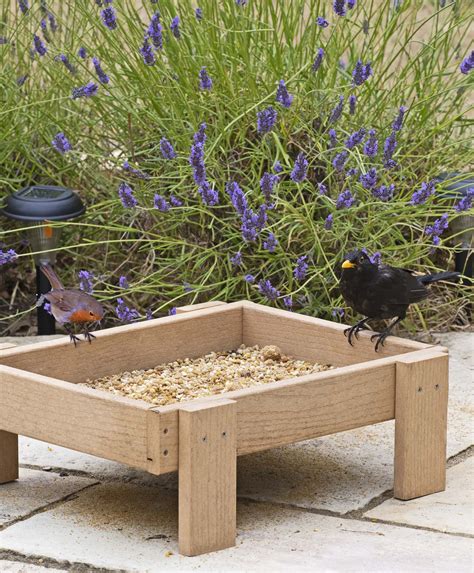 Woodlook Ground from Living with Birds