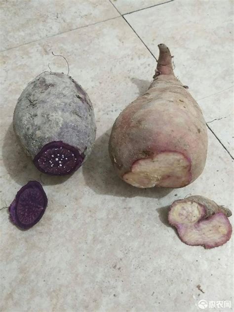 [一点红红薯批发]花心薯 红皮 3两~6两 价格25元/箱 - 惠农网