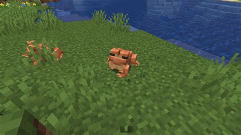 Image result for Minecraft Frog Biome Colors