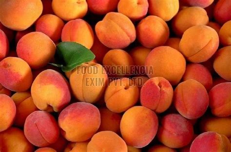 Fresh Peach Exporter,Wholesale Fresh Peach Supplier from sutaripura India