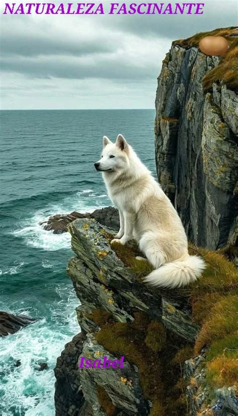 NATURALEZA FASCINANTE | Facebook