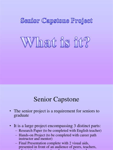 Capstone Project Examples 的图像结果