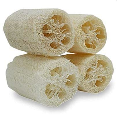 : The Hidden Gem of The Villages, Florida: The Loofah Story Unveiled ...