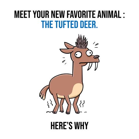 Image result for Deer Exploding