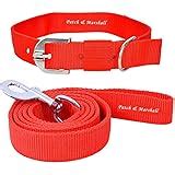 Buy Senapati Dog Neck Collar Belts and Leash Set (Red Color, Waterproof ...