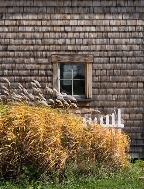 Image result for Real Life Patterns