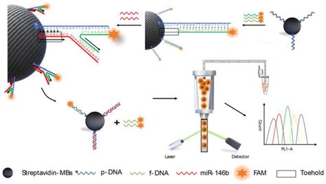 Development of Flow Cytometric Assay for Detecting Papillary Thyroid ...