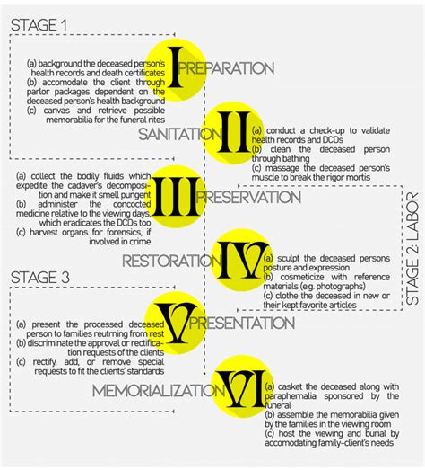 Image result for Human Embalming Process