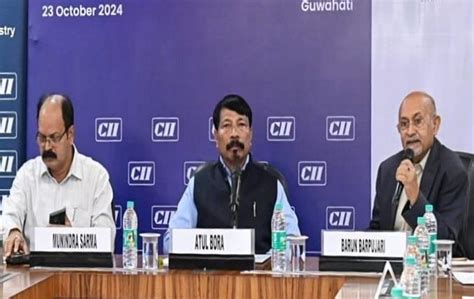 CII Development Initiatives