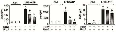 Differential Effects of Whole Red Raspberry Polyphenols and Their Gut ...