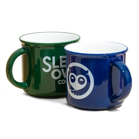 Buy Sleepy Owl Ceramic Mugs Set of 2 | Microwave Safe 350ml Coffee Mug ...
