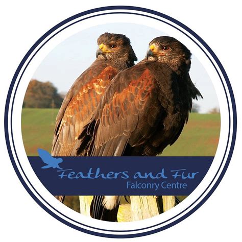 FEATHERS AND FUR FALCONRY CENTRE (2025) All You Need to Know BEFORE You ...