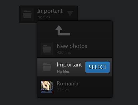 Image result for Windows Form File Selector
