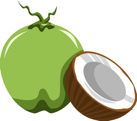 Coconut Fruit Clip Art