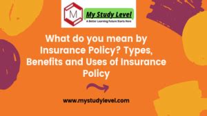 Insurance Policy Explained 的图像结果