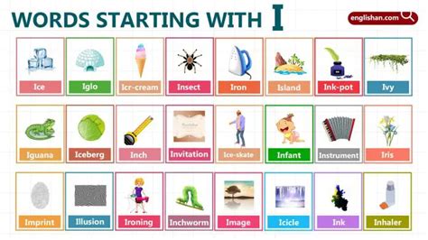 Words That Start with I - 600+ Comprehensive Word List