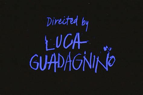Directed By Luca Guadagnino
