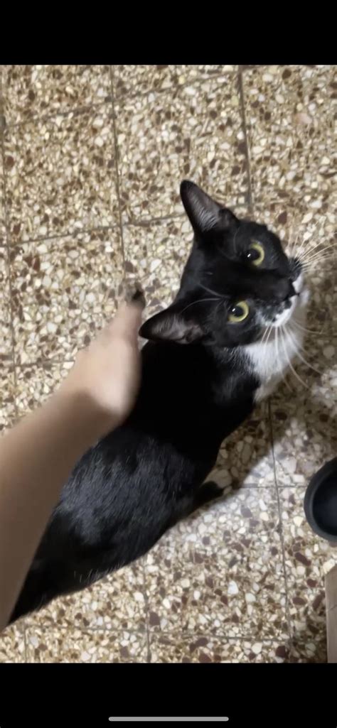 Sumchloevip (u/sumchloe) - Reddit