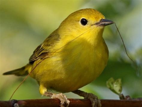 Image result for Public Library Programs