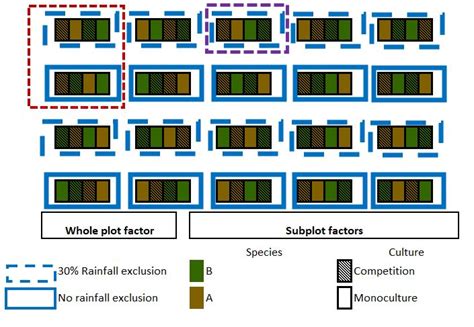 Image result for Split-Plot Design Model