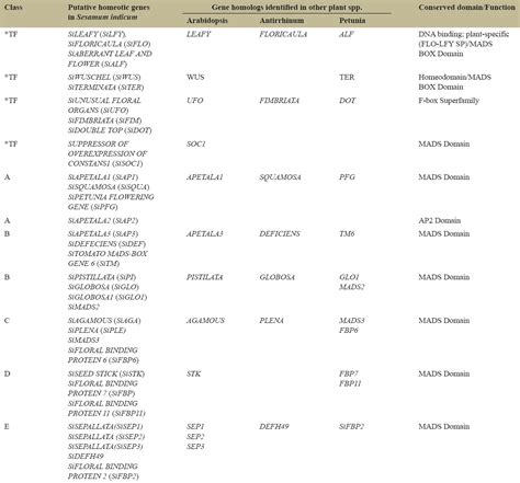 Genome-wide analysis and gene expression studies revealed putative ...