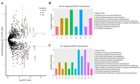 Fishes | Special Issue : Effect of Dietary Supplementation on the ...