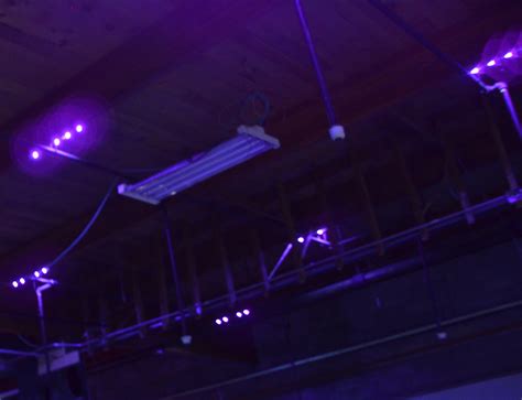 Black Light Lighting – SST Lighting