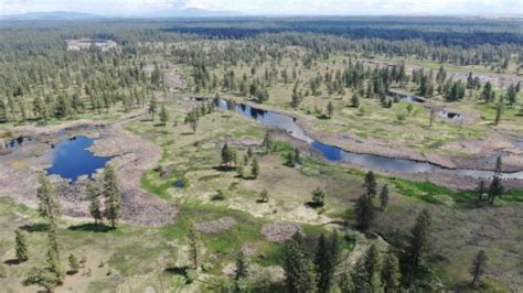 Turnbull NWR - Aerial Views | FWS.gov