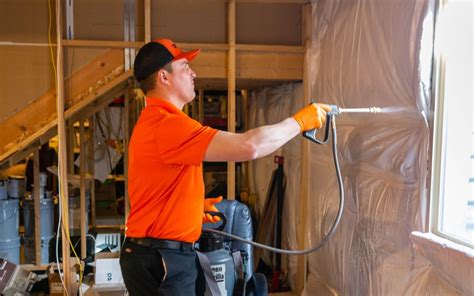 Spider Web Removal 的图像结果