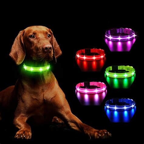 Amazon.com : MASBRILL Light Up Dog Collars-RGB Lighted Dog Collar ...